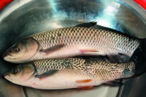 入味|腌咸鱼时,别直接抹盐腌,多加1个步骤,咸鱼咸香入味,更易储存