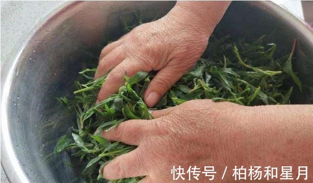 野菜|此野菜是痛风的“死对头”，越吃眼睛越明亮，老少皆宜，营养美味！