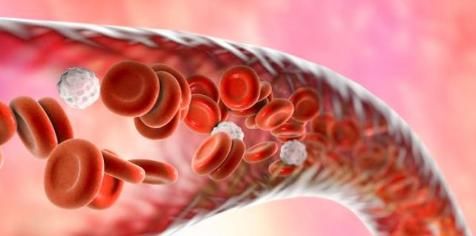 “长寿”的人，会有“1慢1软1快”的特征，若你也有，恭喜你