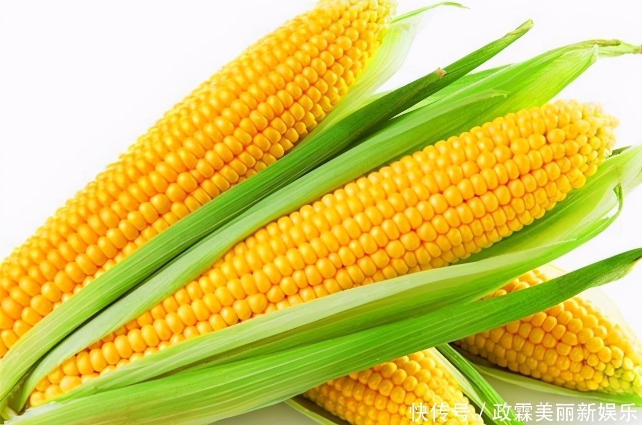 素饵|用玉米钓不住鱼,究其原因是你没用对,看完你就会用了!
