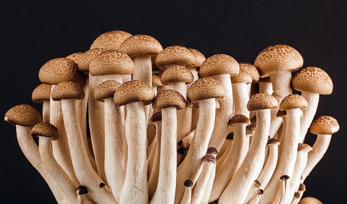 长个|不止牛奶能帮助孩子长个,这3种蔬菜也能,“蹿个”效果甚至更好