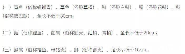 鲫鱼小于10厘米,渔获超过10条就必须放流,野钓应该怎么办