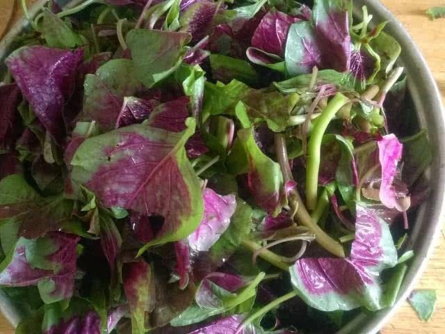 杨桃|子宫肌瘤“克星”来了,女性常吃点,排毒化瘀,子宫更健康