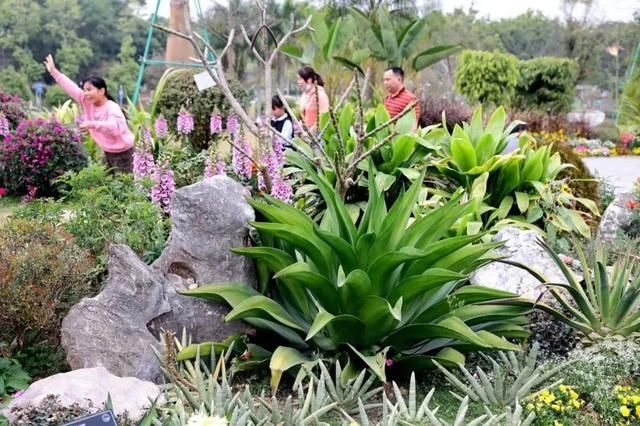 低薪|东莞“小蛮腰”刷屏朋友圈！牛年这些景点很“红”