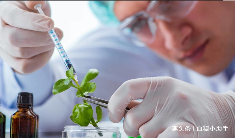 十字花科|医学专家提醒男人掌握5个促睾法，让你越来越有魅力