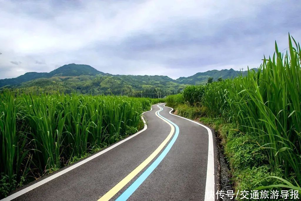 畲乡景宁：行在路上，别匆匆而过，这一路的风景，你留意过吗？