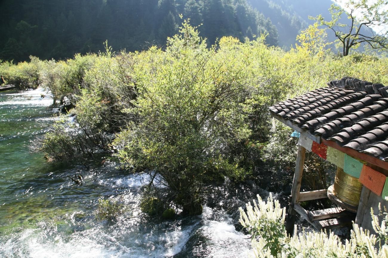 梦的开始，九寨沟之旅