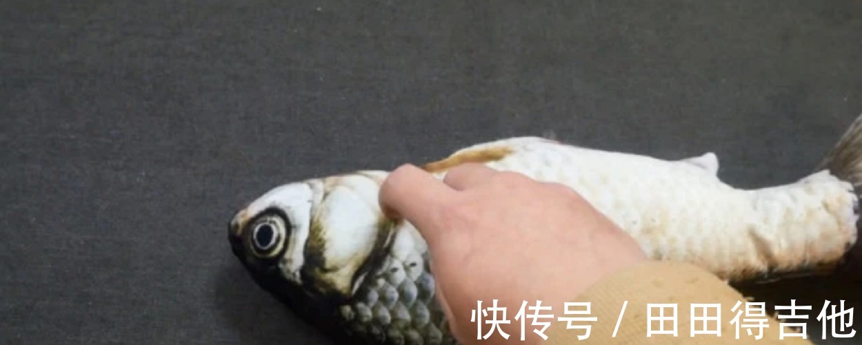 鱼肉|买鱼时,看到这样的鱼快走开,免费白送都别要,快告诉家里人!