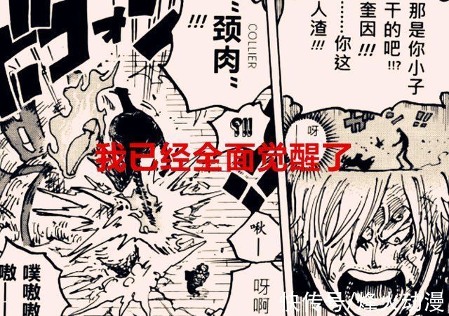 维尔戈|海贼王剧情解读:无果实无兵器，力量不足是对山治最大的误解