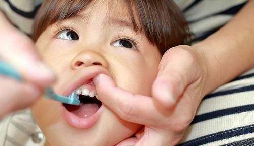 机构|孩子脱落的乳牙真能救命?看看权威机构的说法:这些常识父母要知