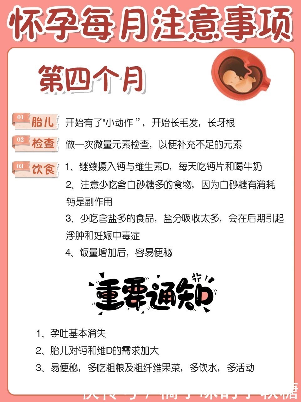 怀孕后每个月要注意什么？教你安心度过孕期