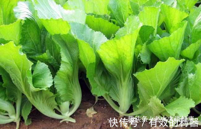 蔬菜|秋天不适合吃的蔬菜,已经被医生拉入“黑名单”了,少吃少生病