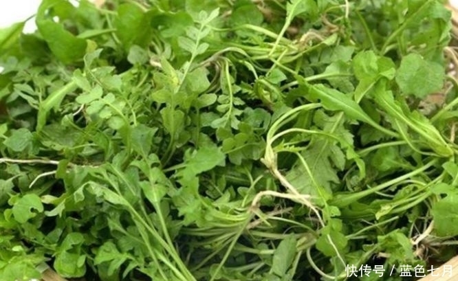 聪明人最爱吃的3种蔬菜,排毒润肠,保护眼睛,增强体质