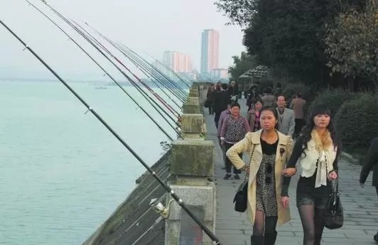 最”狠毒“的天然饵料，四小时狂拉百条鲫鱼，即使是傻子也能爆护