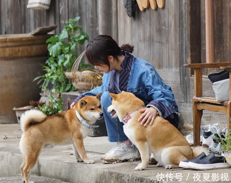 向往5 《向往5》邀请陈赫与李诞录同期节目,赢了话题度,但却输了口碑