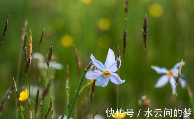 财神|8月下旬，财神点名，事业兴旺的3生肖，吉星当头，事业旺顺