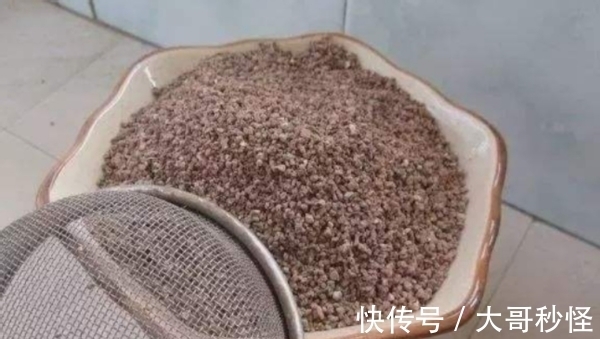 园艺新人适用的经验知识：将它们列入“养花配土”的原材料吧