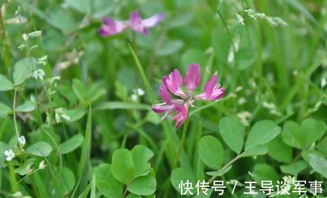 皱纹|女性养生,秋天坚持吃的好食物,淡化皱纹,延缓衰老,越吃越好