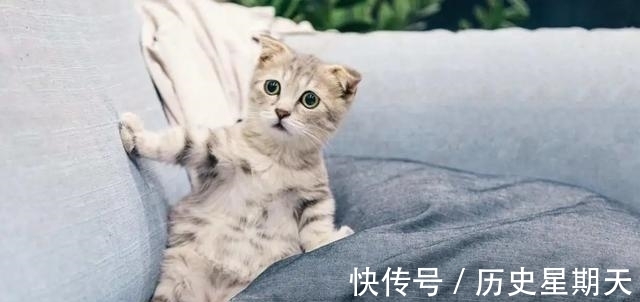 |搞笑诺贝尔奖揭晓!“无聊的知识”又双叒叕增加了