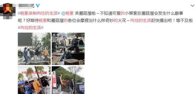 张子枫|《向往5》二轮开录!杨紫做客蘑菇屋,跟张艺兴同框买菜力破传言