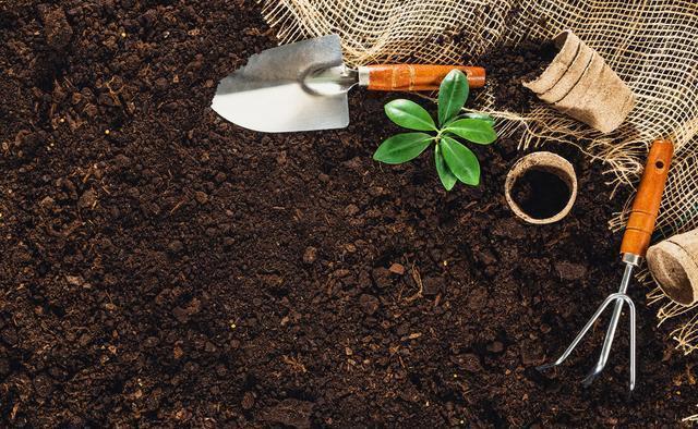 皮壳|养花的旧土要变成养分丰富的新土,要分成2步来走,掺进去3样东西