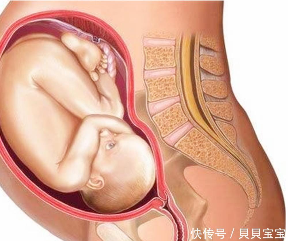 顺产|同样是剖腹产,为何有的产妇术后要“压肚子”,有的人则不用?