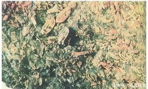 商代为什么以鸟为图腾,而不是其它动物呢