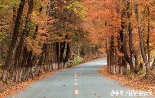 大唐盛世|秦岭山中的秘境，有中国最美乡村之称，不收门票还没有几个游客