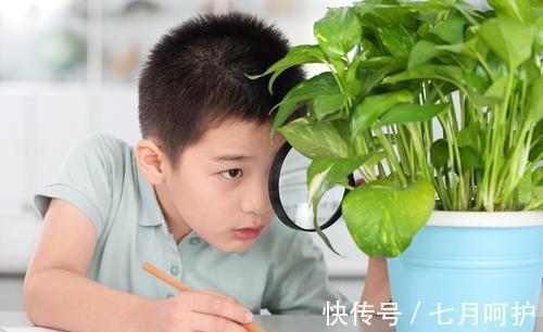 上学|9月出生的娃上学最吃亏?吃亏的反而是这两月份的娃,尤其是男孩