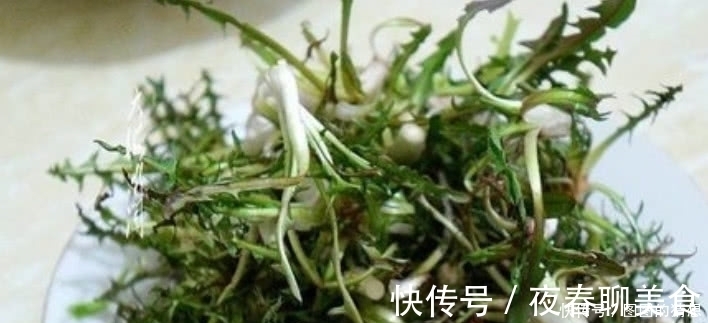 草药皇后|农村这植物被称为“草药皇后”根茎极为珍贵,外面一斤20元