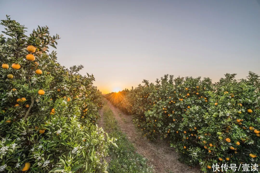 橙汁|运动之后为什么不推荐喝白水？