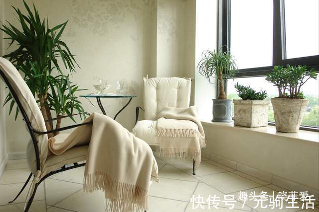 中国传统文化|阳台再小，也能养3种树，小盆就能养，个个都是“传家宝”