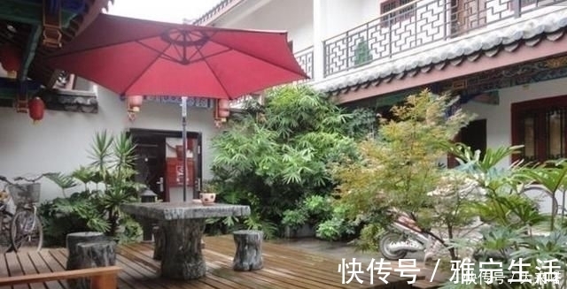 鱼池|有庭院的人都开始造景观鱼池了美哭了,回家也要挖一个