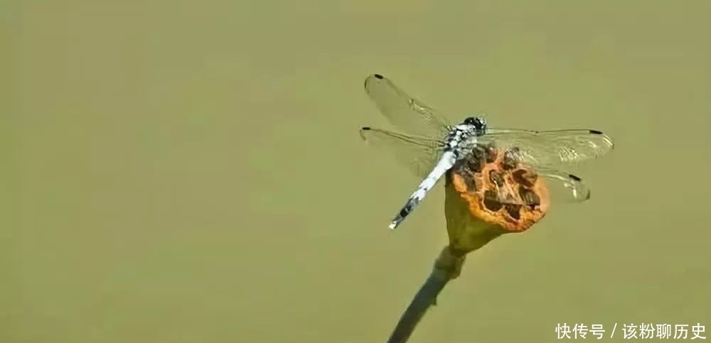 成功|《道德经》:人生最高境界,就是“无”