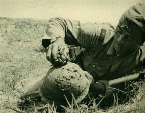 上蹿下跳|抗日老兵战场巡逻，发现一物上蹿下跳，随便开了一枪，日本举国哀悼