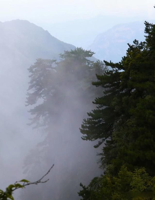 山脊|知名笔下的秘境五指山之一:神奇五指山 有恙亦珊阑