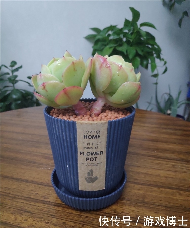 一肉一世界,一方一净土