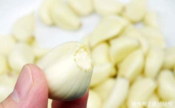 腊八节腌腊八蒜，别着急加醋，教你一招，大蒜绿得快，5天就能吃