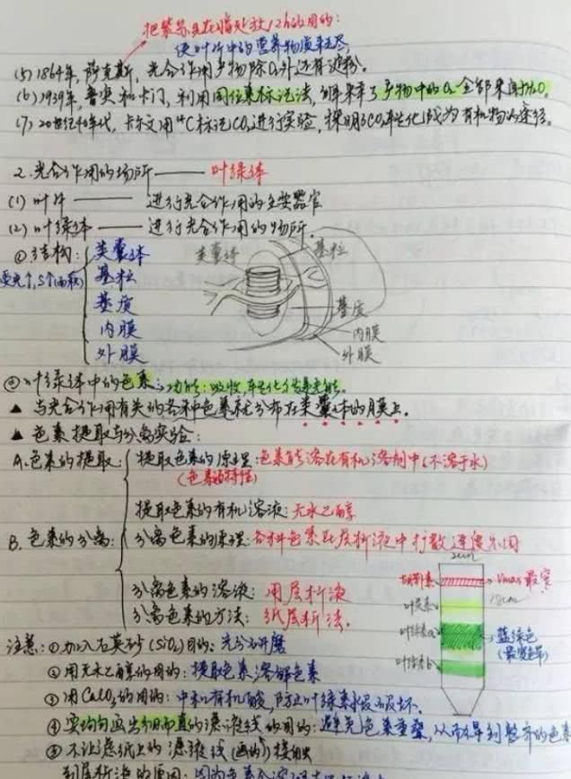 知识点|不会“画画”的学霸不是好学霸看到这些学霸笔记，网友我怯了