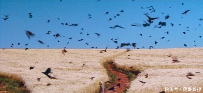 展示|《梦》透过深邃唯美的梦境,展示没有梦的世界,竟都是空洞无物?