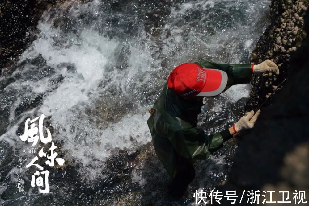 总导演|《风味人间3·大海小鲜》正式收官，踏浪逐波记录中国海 蓝天下