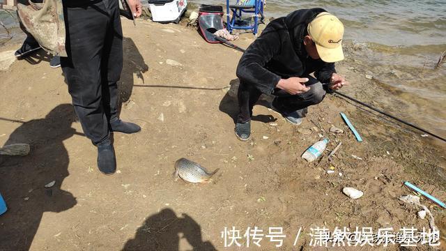 危害|灭绝性钓鱼危害真的不大吗?上百钓鱼人,五天钓光一沙坑