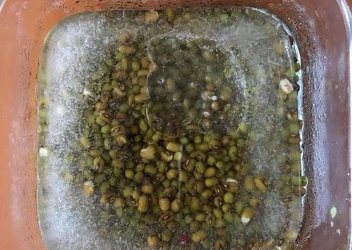 绿豆汤,别直接下锅煮,掌握一个技巧,绿豆10分钟快速软烂开花