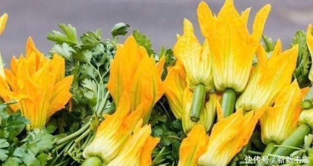 飘儿白|女性不想老太快,常吃4种食物,雀斑没了,大肚子平了