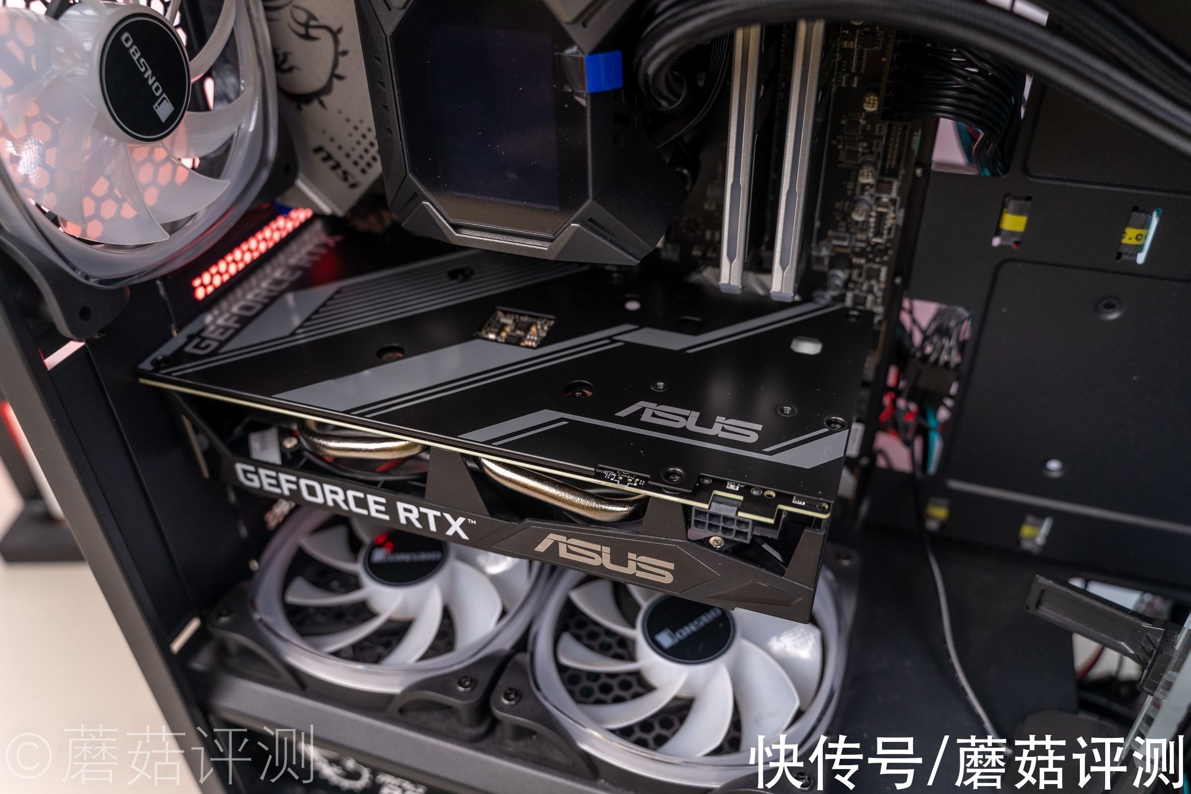 rtx3050显卡|有点贵的甜品卡，是否值得入手？华硕RTX3050显卡（猛禽&巨齿鲨）