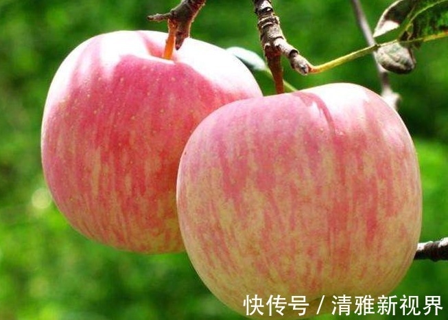 人体健康|寿命长不是多睡觉,也不是多走路,而是坚持这3件事,健康又长寿