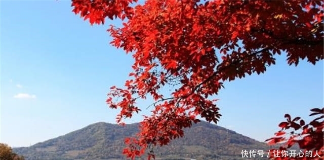 动人|绝美秋词:含蓄动人,意蕴无穷的相思枫叶丹