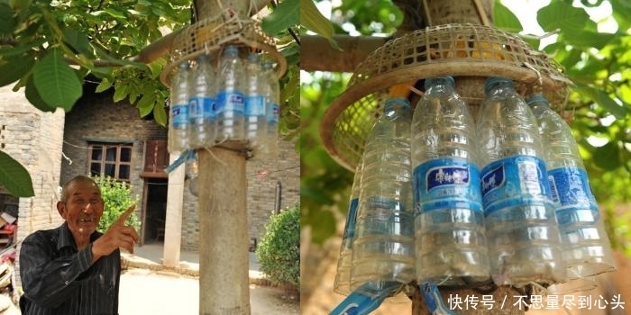 神器|八十岁老人做防偷神器, 核桃再没丢过, 网友: 爷爷还是厉害