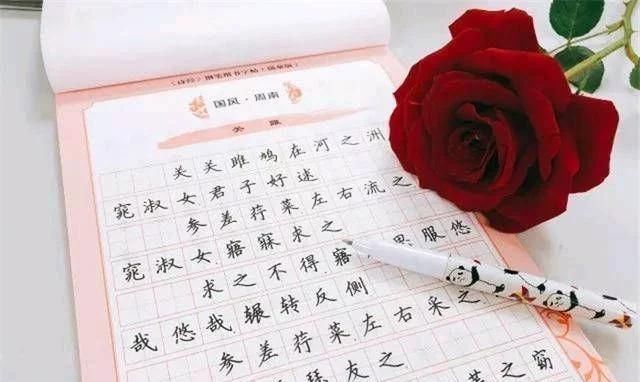 照片|儿子因“罗”受到惩罚,妈妈把照片上传网上网友这个词有灵魂