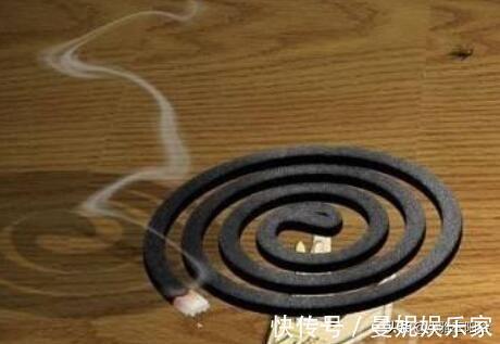 花盆|花盆里有小虫子，只需4个小方法，不用喷药，一只不剩，干干净净